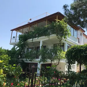 Gunebakan Taliani Türkiye